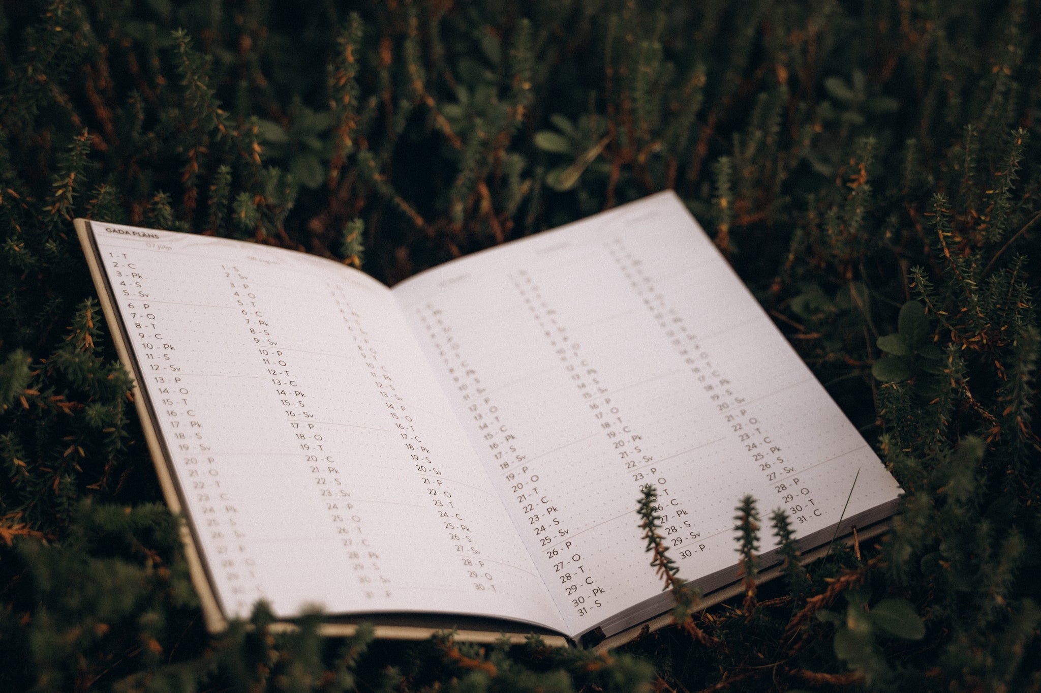 SMILŠU PELĒKAIS plānotājs 2026