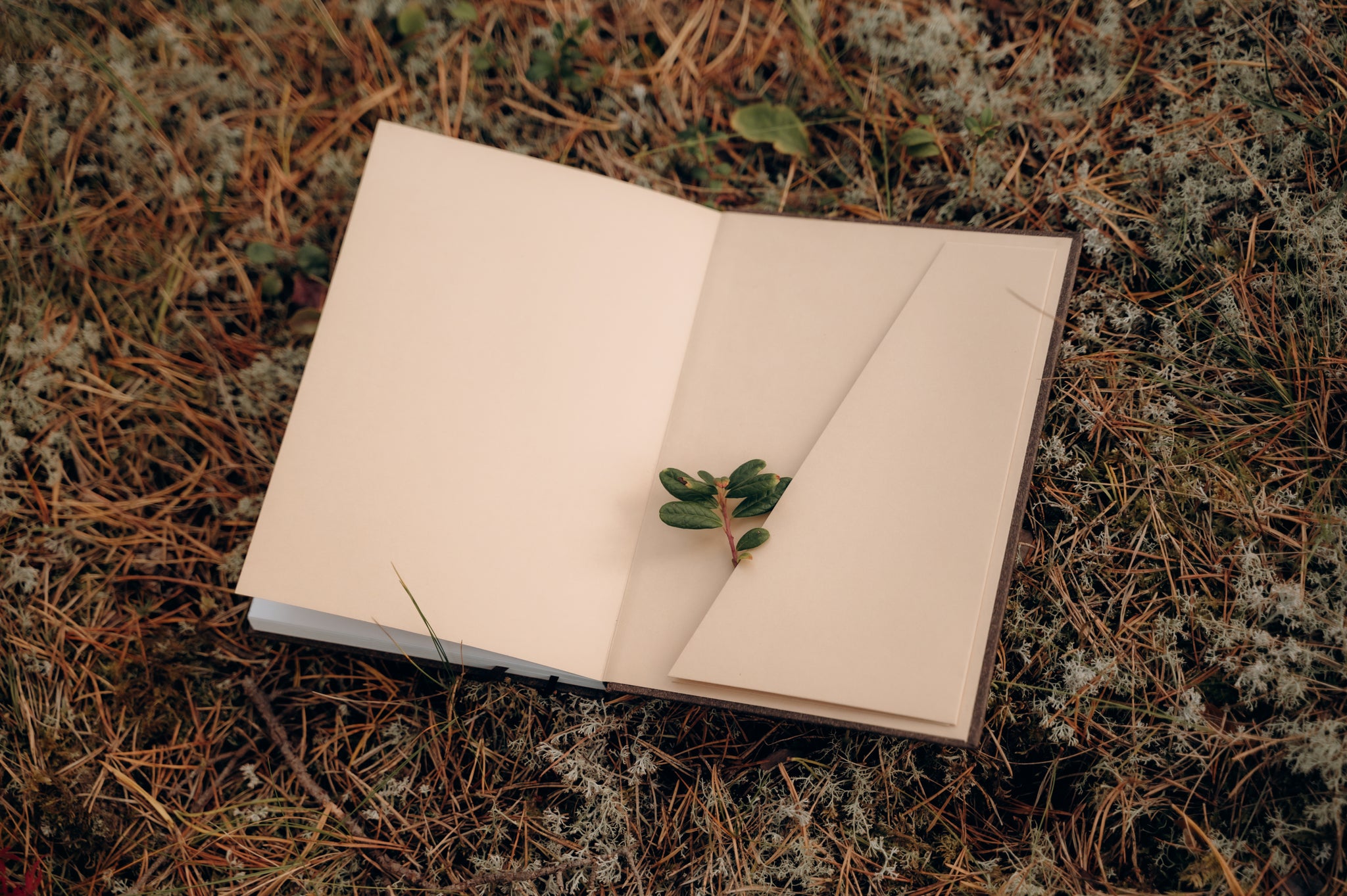 SMILŠU PELĒKAIS plānotājs 2026