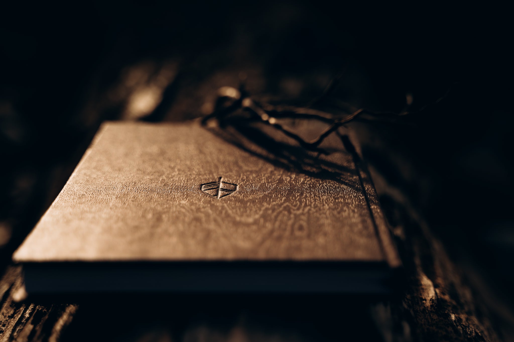 PRIEŽU TUMŠI BRŪNAIS plānotājs 2026